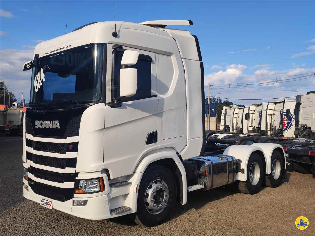CAMINHAO SCANIA SCANIA R500 Cavalo Mecânico Cavalo 6x4 Chapecó Caminhões CORDILHEIRA ALTA SANTA CATARINA SC